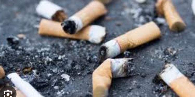 Diputados del PAN quieren ¡prohibir tirar colillas de cigarro en la calle!