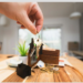 Morena propone meter al orden rentas por Airbnb