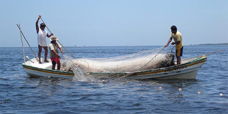 Piden rescatar la pesca tamaulipeca con capacitación obligatoria.