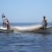 Piden rescatar la pesca tamaulipeca con capacitación obligatoria.