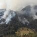 Incendios y deforestación aceleran el deterioro de bosques en Tamaulipas