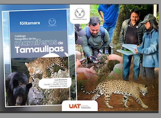 Difunde la UAT catálogo fotográfico de los mamíferos de Tamaulipas