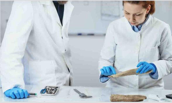 Escasez de especialistas agrava el rezago en identificación forense