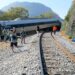 Muere otra víctima del descarrilamiento del tren; ya son 14 fallecidos.