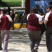 Diputados pedirán a la SET rinda cuentas sobre atención psicológica en escuelas.