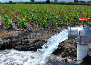 Harían obligatorio uso de aguas residuales en riego de parques y agricultura