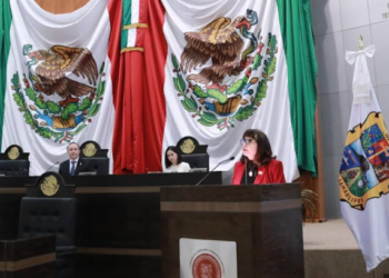 «Muchas iniciativas se quedan en el papel», denuncia diputada de Morena.