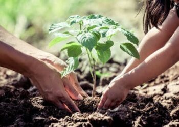 Morena quiere que escuelas  enseñen agricultura.
