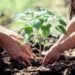 Morena quiere que escuelas enseñen agricultura.