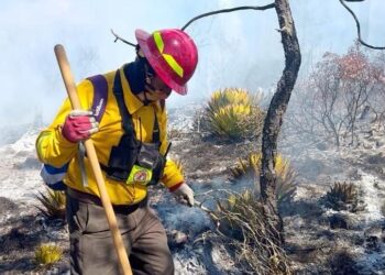 Sigue fuera de control incendio forestal en Miquihuana; afecta zona de la mariposa monarca