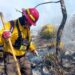Sigue fuera de control incendio forestal en Miquihuana; afecta zona de la mariposa monarca