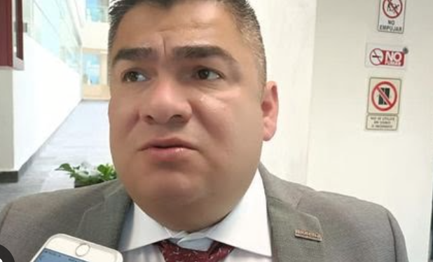 Diputado de Morena ve «difícil» alianza con PT y PVEM