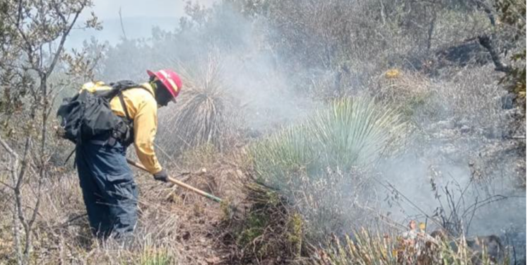 Continúan labores para el control y liquidación de incendio forestal en el Cerro El Tepozán