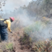 Continúan labores para el control y liquidación de incendio forestal en el Cerro El Tepozán