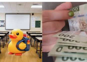 Van contra escuelas «patito» en Tamaulipas.