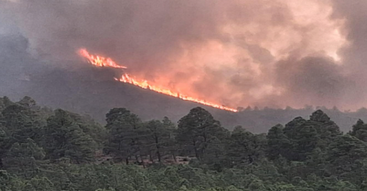 Refuerzan combate a incendio en Miquihuana con 56 brigadistas