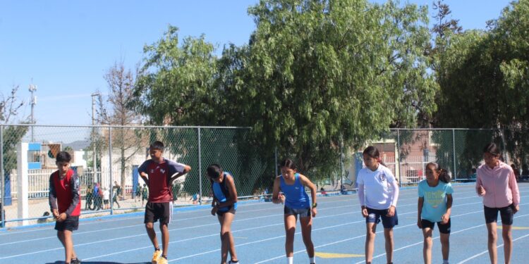 Buscan garantizar “equidad deportiva” con reglas por sexo biológico en escuelas