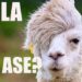 Alertan deterioro del español  por lenguaje de redes sociales