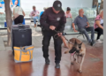 Refuerza Guardia Estatal vigilancia en central de autobuses con binomios caninos