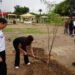Gobierno municipal impulsa reforestación de espacios públicos
