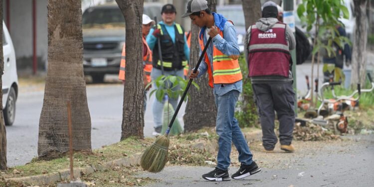 Limpieza de espacios públicos en Victoria es permanente.