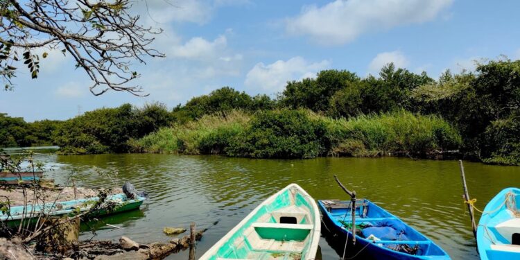 Prohíben pesca de camarón en Tamaulipas por 45 días