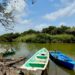 Prohíben pesca de camarón en Tamaulipas por 45 días