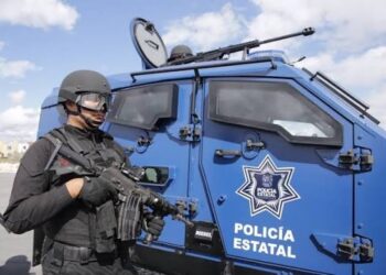 Dar “pitazos” a la delincuencia se castigará con 8 años de prisión