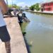 Acaba parranda con auto en el Canal de la Cortadura