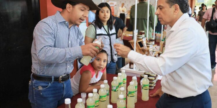 Gobierno de Victoria hace equipo con Estado para apoyar a emprendedores locales.