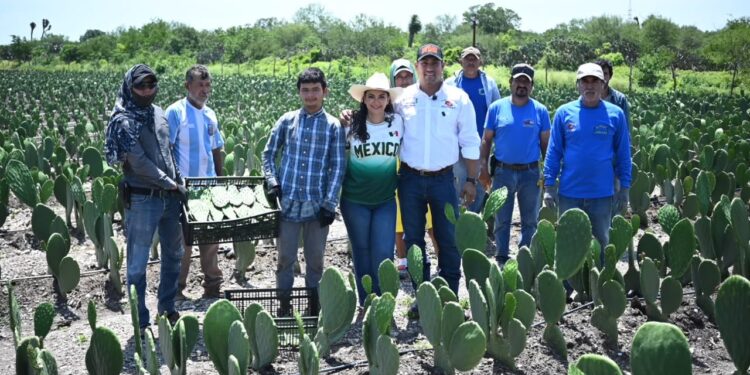 ReyMart, ejemplo de que Tamaulipas puede exportar más, afirma Olga Sosa