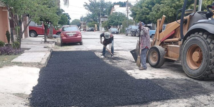 Amplían el bacheo en la colonia Miguel Alemán.