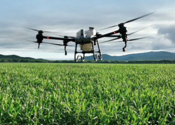 Agricultores de Tamaulipas se modernizan con uso de drones