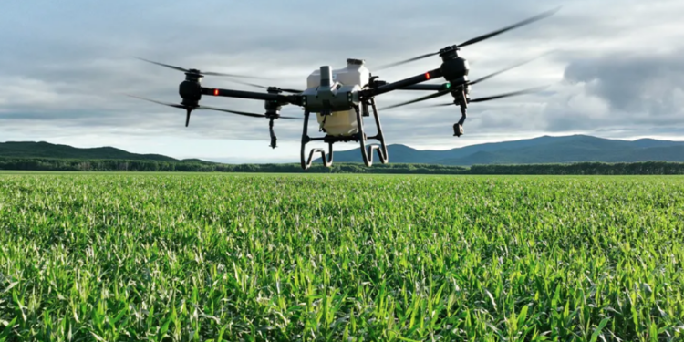 Agricultores de Tamaulipas se modernizan con uso de drones