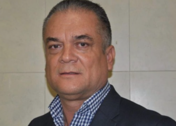 Patear el avispero