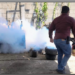 Tamaulipas frena el dengue; incidencia es de las más bajas del país