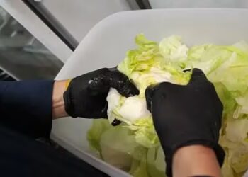 Taco Bell retira lechuga mexicana tras brote de diarrea explosiva en EU