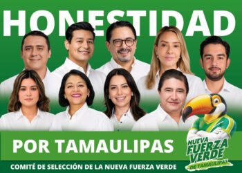 PVEM toma la delantera rumbo al 2027; instala comité para seleccionar perfiles