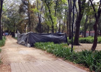 Proponen obras públicas que capten lluvia y reutilicen materiales