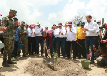 Tamaulipas participa en Jornada Nacional de Reforestación; se plantarán 15 mil árboles: Américo