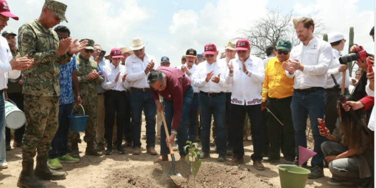 Tamaulipas participa en Jornada Nacional de Reforestación; se plantarán 15 mil árboles: Américo