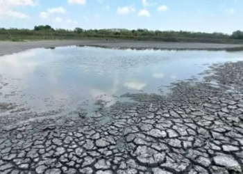 Sequía asfixia a Tamaulipas
