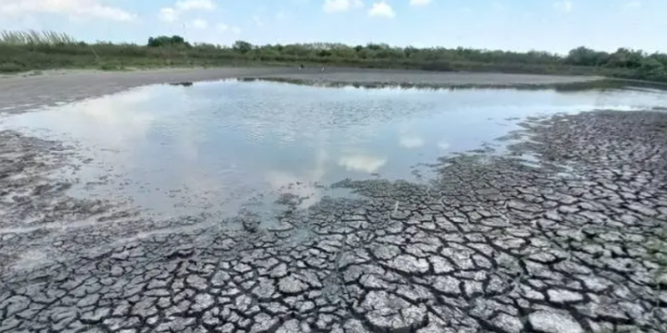 Sequía asfixia a Tamaulipas