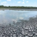 Sequía asfixia a Tamaulipas