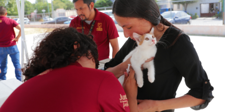 Protege gobierno de Nuevo Laredo salud de mascotas con vacunación