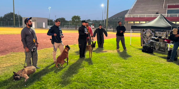 Obtienen binomios K-9 de la Guardia Estatal primeros lugares de su especialidad en certificación canina