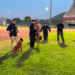 Obtienen binomios K-9 de la Guardia Estatal primeros lugares de su especialidad en certificación canina