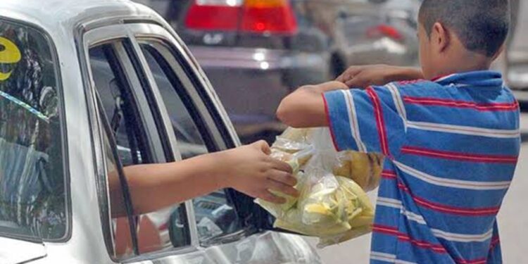 Aprieta Tamaulipas combate al trabajo infantil