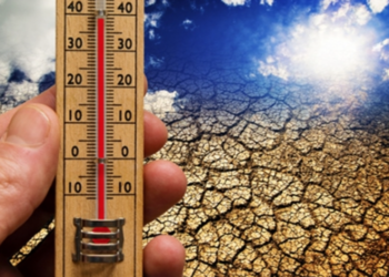 Tamaulipas combate cambio  climático con datos de hace  cuatro años   