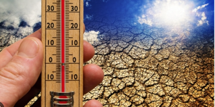 Tamaulipas combate cambio  climático con datos de hace  cuatro años   